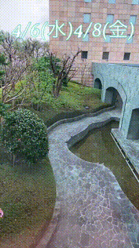 OCカメラサムネイル画像