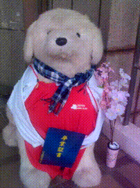 OCカメラサムネイル画像