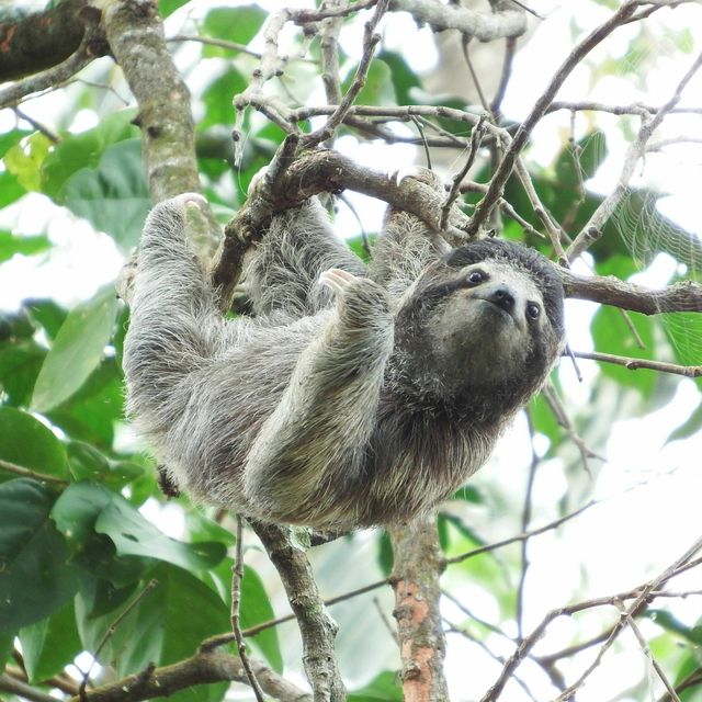 野生動物ガイドのお仕事と環境保全 ｔｃａ東京ｅｃｏ動物海洋専門学校のオープンキャンパス情報と予約申込 スタディサプリ 進路