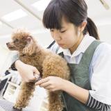 オープンキャンパス2018の詳細