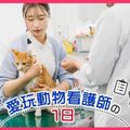 ＴＣＡ東京ＥＣＯ動物海洋専門学校 愛玩動物看護師の1日
