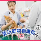 愛玩動物看護師の1日の詳細