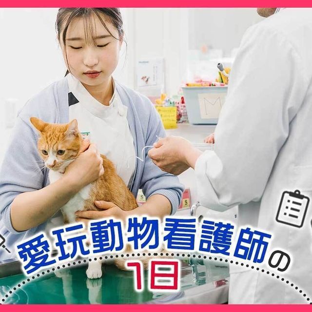 ＴＣＡ東京ＥＣＯ動物海洋専門学校 愛玩動物看護師の1日1