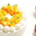 専門学校ビジョナリーアーツ 【サマースイーツ】マンゴーショートケーキ
