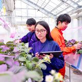 本学OBの〇〇が聞ける！未来のイメージの詳細