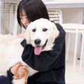 北海道どうぶつ・医療専門学校 【愛玩動物看護学科】診察中の動物の抱え方