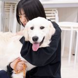 【愛玩動物看護学科】診察中の動物の抱え方の詳細