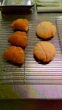 OCカメラサムネイル画像