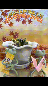 OCカメラサムネイル画像