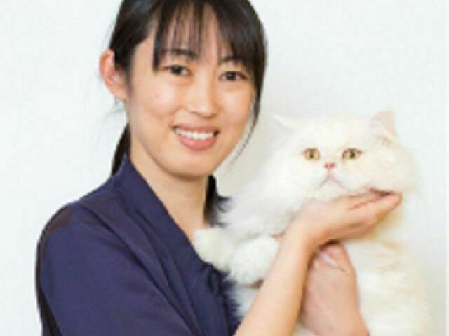 サブ画像