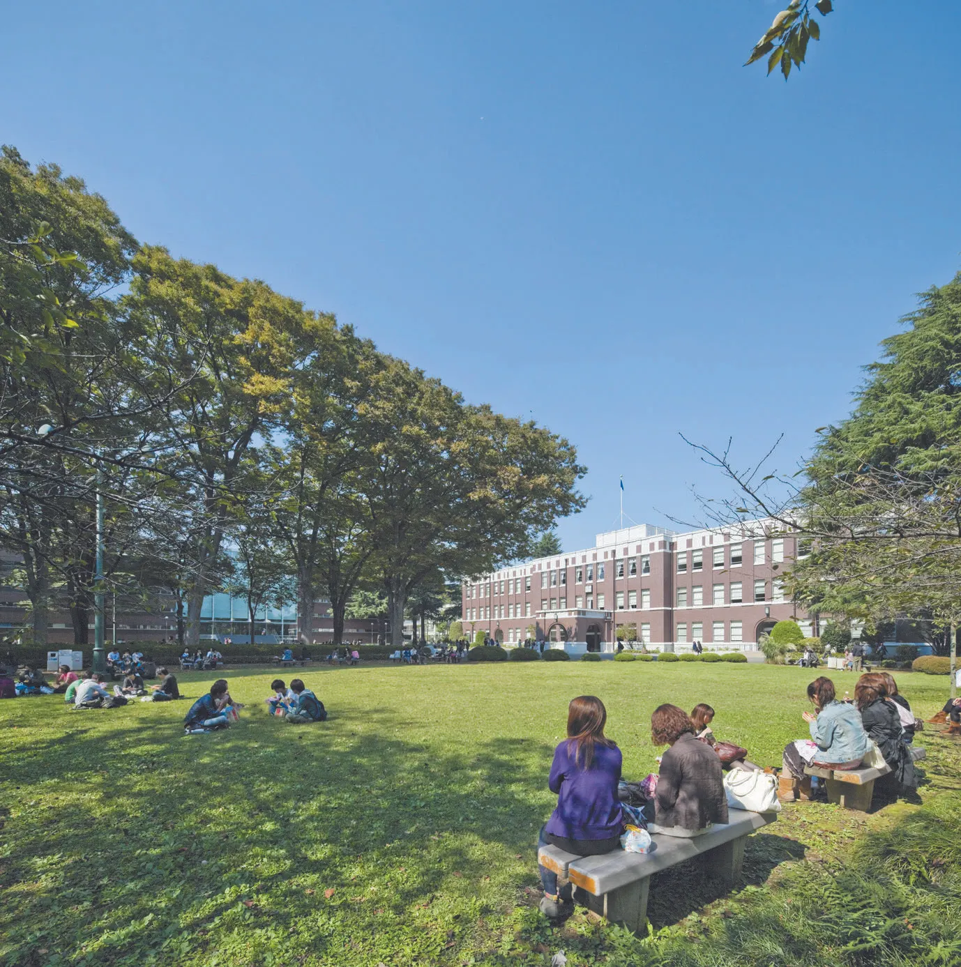 成蹊大学 資料・願書請求｜少人数教育で個性を伸ばす対話型授業