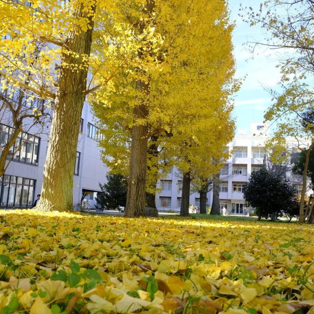 群馬大学 【理工学部】桐生キャンパス自由見学（駐車場利用可）3
