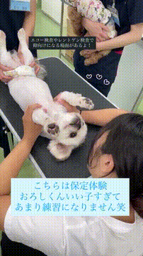 OCカメラサムネイル画像