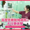 ＴＣＡ東京ＥＣＯ動物海洋専門学校 高度医療動物病院のお仕事体験