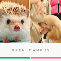 未来の動物のプロフェッショナルへ！オープンキャンパス／中央動物総合専門学校