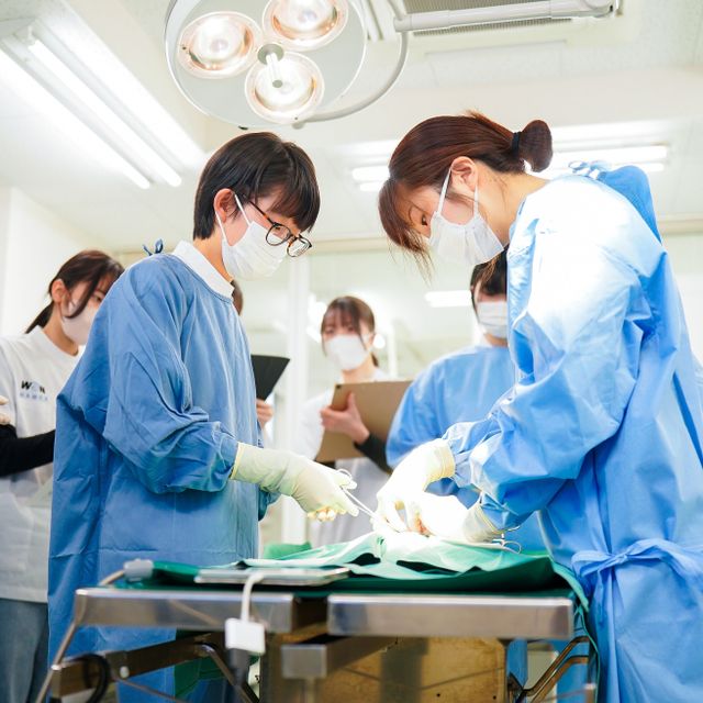 国際ペットワールド専門学校 【オープンキャンパス】動物と一緒に楽しく進路研究！3