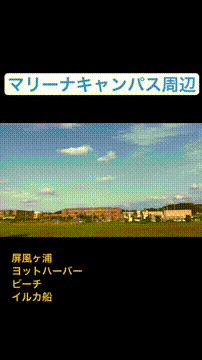 OCカメラサムネイル画像