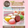 大宮スイーツ＆カフェ専門学校 【カラフルマカロン】全学年対象/大人気選べる体験！