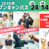国際ペットワールド専門学校 【1月2月限定】交通費"全額”補助キャンペーン開催！1