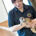 専門学校ビジョナリーアーツ 動物園飼育員のお仕事を体験しよう！