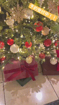 OCカメラサムネイル画像