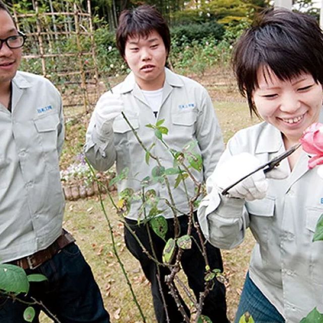 日本工学院八王子専門学校 【土木・造園】自分だけの“ミニガーデン”をつくろう！1