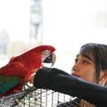 専門学校ビジョナリーアーツ Vaふれあい動物園