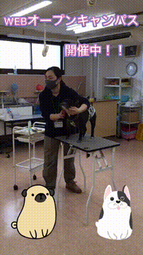 OCカメラサムネイル画像