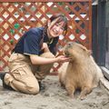 ＴＣＡ東京ＥＣＯ動物海洋専門学校 エキゾチックアニマルについて学ぼう！