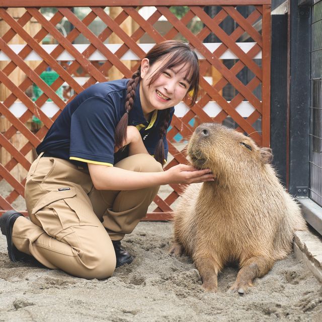 ＴＣＡ東京ＥＣＯ動物海洋専門学校 エキゾチックアニマルについて学ぼう！1