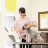 進路決定、まだ間に合う!9月の動物のお仕事体験SP♪の詳細