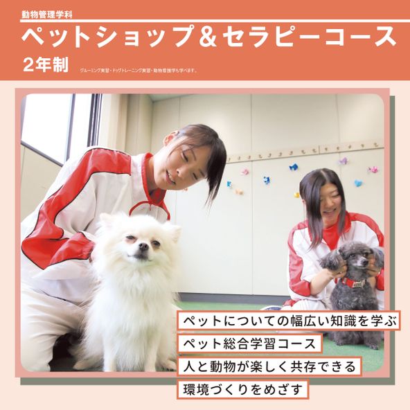 専門学校日本動物２１ 資料請求 願書請求 学校案内 スタディサプリ 進路