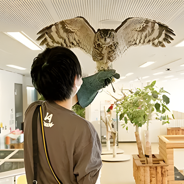 専門学校　福岡ビジョナリーアーツ 【ペット】フクロウのフライトに挑戦！1