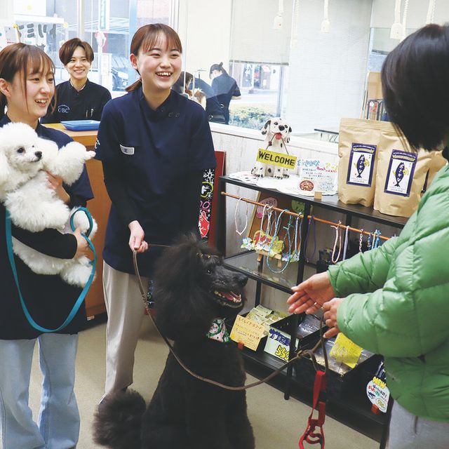 専門学校岡山ビジネスカレッジ メディカルトリマー学科｜トリミングも看護もフードも学べる！2