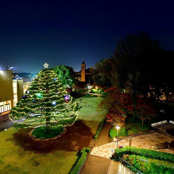 白百合女子大学 資料請求 願書請求 偏差値情報 スタディサプリ 進路