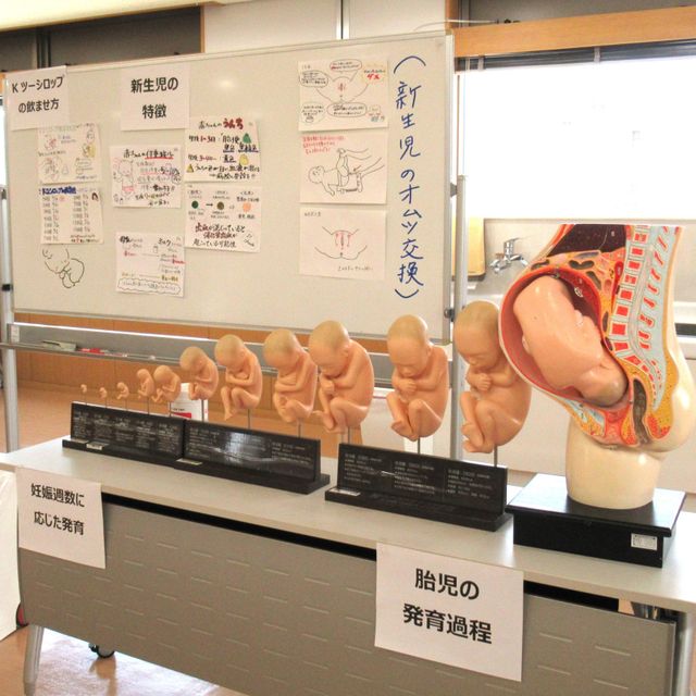 福岡国際医療福祉大学 【看護学部】2026.7.5(日)オープンキャンパス4