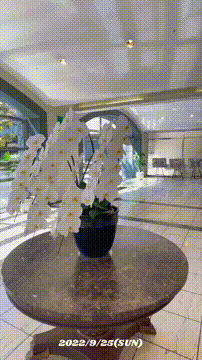 OCカメラサムネイル画像