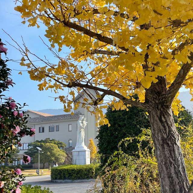 鹿児島純心大学 【大学祭同時開催】10/24・10/25　オープンキャンパス4