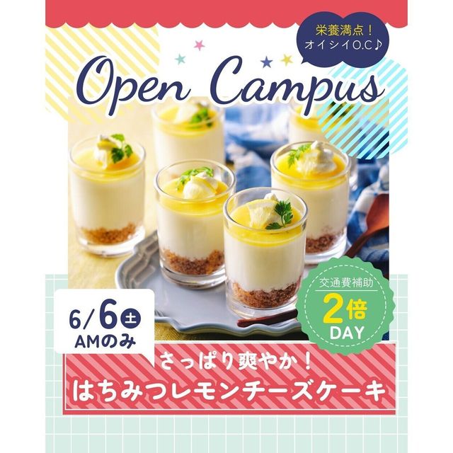 辻学園栄養専門学校 さっぱりはちみつレモンチーズケーキ　交通費補助あり1