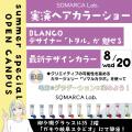 岐阜美容専門学校 BLANCOトップスタイリストの『実演ヘアーカラーショー』