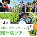 大阪農業園芸・食テクノロジー専門学校 富田林アグリファーム 収穫体験ツアー（ランチ付き）