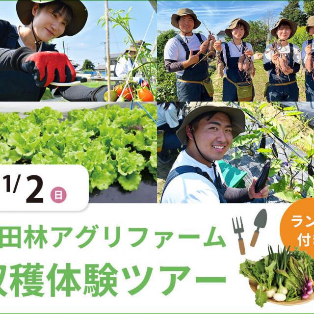 大阪農業園芸・食テクノロジー専門学校 富田林アグリファーム 収穫体験ツアー（ランチ付き）1