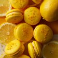 山手調理製菓専門学校 【製菓】レモンマカロン