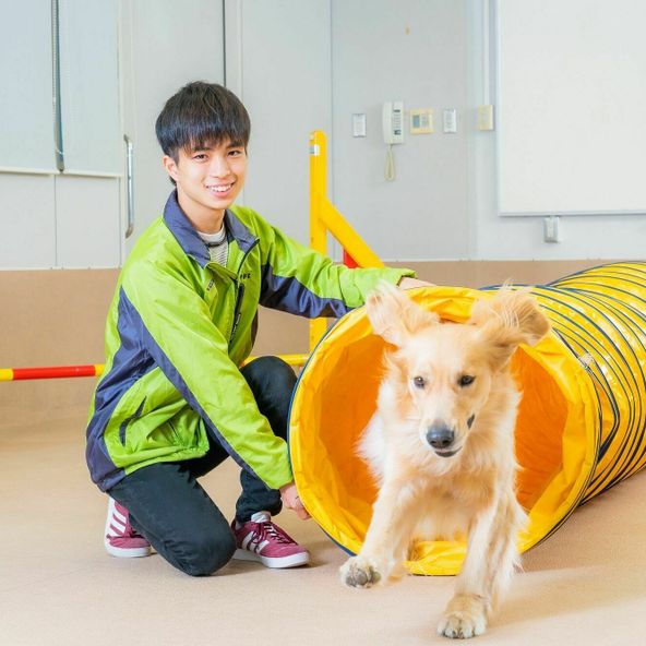 河原アイペットワールド専門学校 資料請求 願書請求 学校案内 スタディサプリ 進路