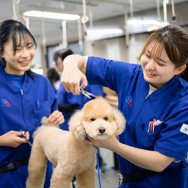 東京愛犬専門学校 愛犬総合学科　体験入学でトリマーやドッグトレーナーを知ろう1