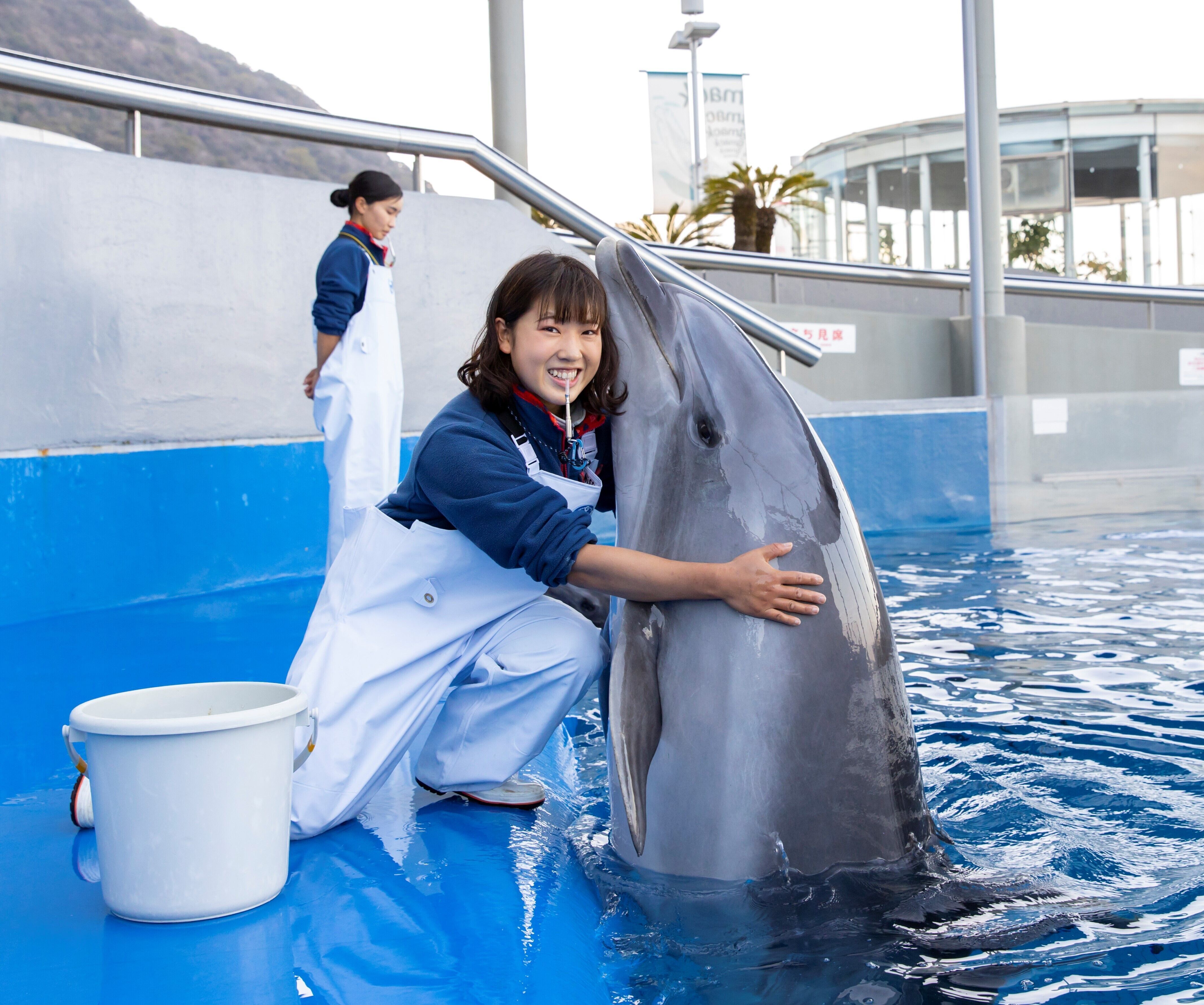 福岡 eco 動物 海洋 専門 学校