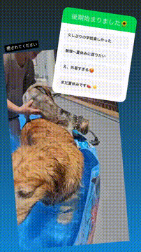 OCカメラサムネイル画像