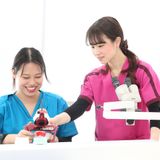 歯科技工士学科　「細かい作業が好き？それ、強味かも！」　の詳細