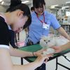 専門学校　ちば愛犬動物フラワー学園 【キャットプロ】まんまる可愛い♪猫の足先カットを体験♪卒業生