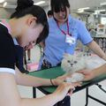 専門学校　ちば愛犬動物フラワー学園 【キャットプロ】まんまる可愛い♪猫の足先カットを体験♪卒業生